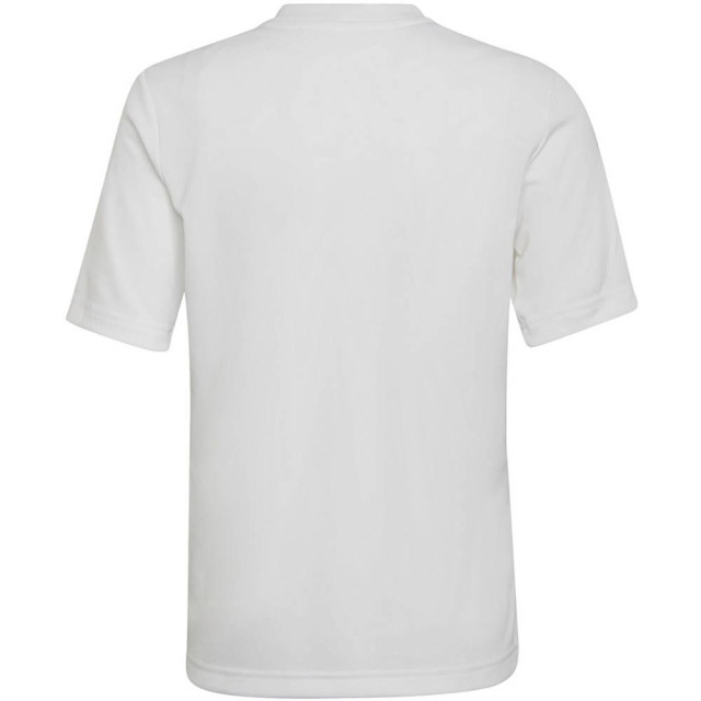 Adidas Kinder/kids entrada 22 grafische trui UTMR674_whitegrey large