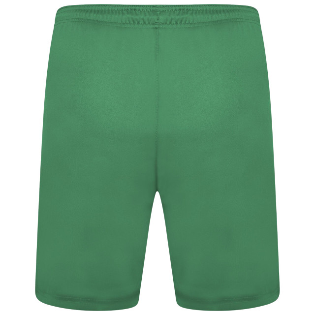 Puma Heren team liga korte broek UTMR718_green large