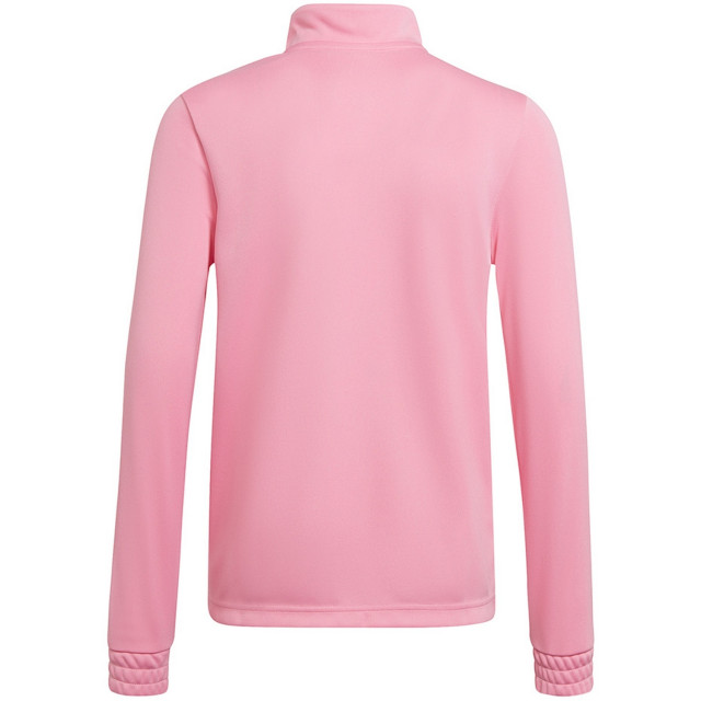 Adidas Kinder/kids entrada 22 trainings top UTMR979_pink large