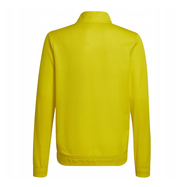 Adidas Kinder/kinder entrada 22 track jacket UTMR1451_yellow large