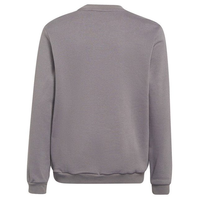 Adidas Kinderen/kinderen entrada 22 sweatshirt UTMR1631_grey large