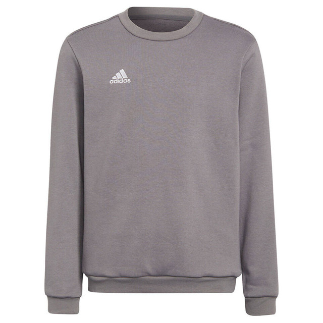 Adidas Kinderen/kinderen entrada 22 sweatshirt UTMR1631_grey large