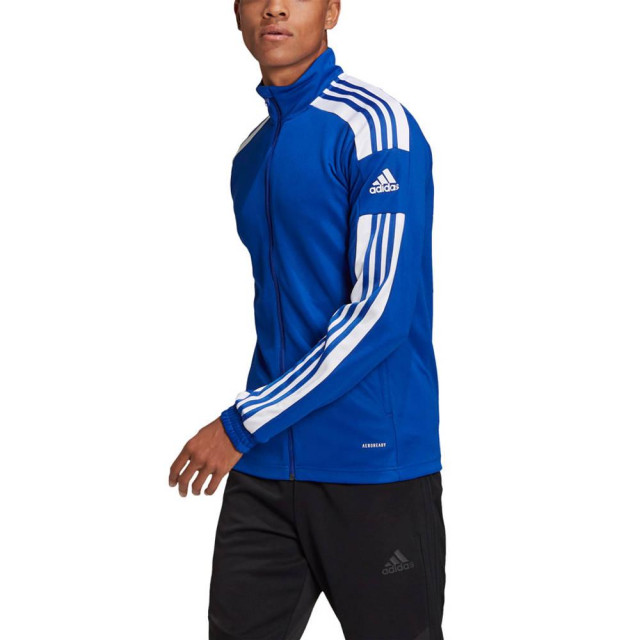 Adidas Heren squadra 21 trainings sweatshirt UTMR723_blue large