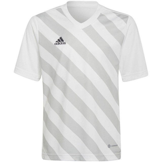 Adidas Kinder/kids entrada 22 grafische trui UTMR674_whitegrey large