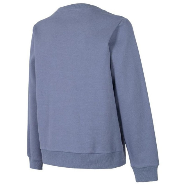 4F Dames h4z22 sweatshirt UTMR1536_grey large 4F Dames h4z22 sweatshirt UTMR1536_grey large