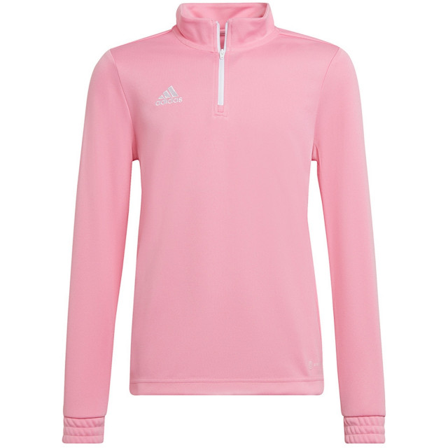 Adidas Kinder/kids entrada 22 trainings top UTMR979_pink large