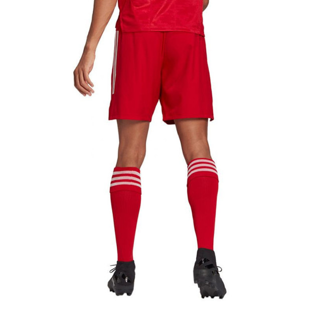 Adidas Heren condivo 21 primeblue korte broek UTMR1476_red large