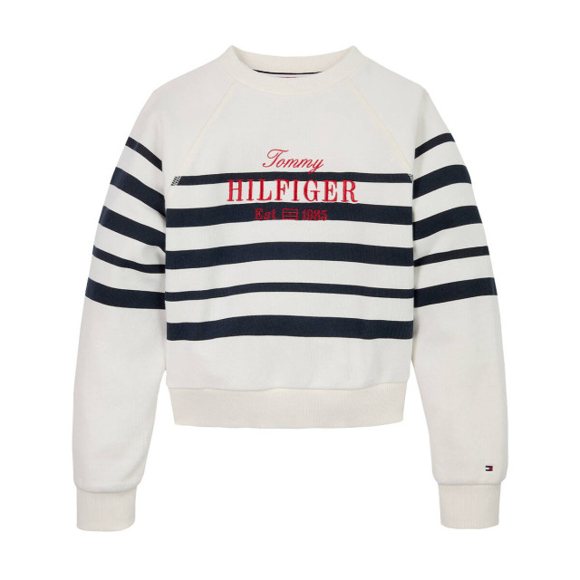 Tommy Hilfiger Sweat kg0kg08452 Tommy Hilfiger Sweat KG0KG08452 large