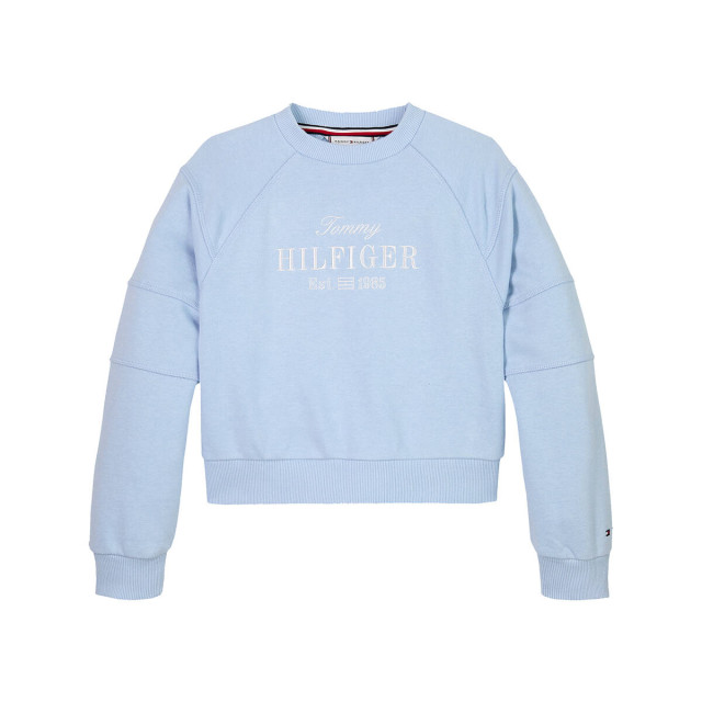 Tommy Hilfiger Sweat kg0kg08452 Tommy Hilfiger Sweat KG0KG08452 large