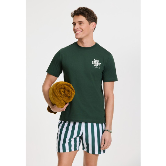 Shiwi 1441100200 broad stripe 7835 green leaf stripe swim short  7835 Green Leaf Stripe/1441100200 Broad Stripe large