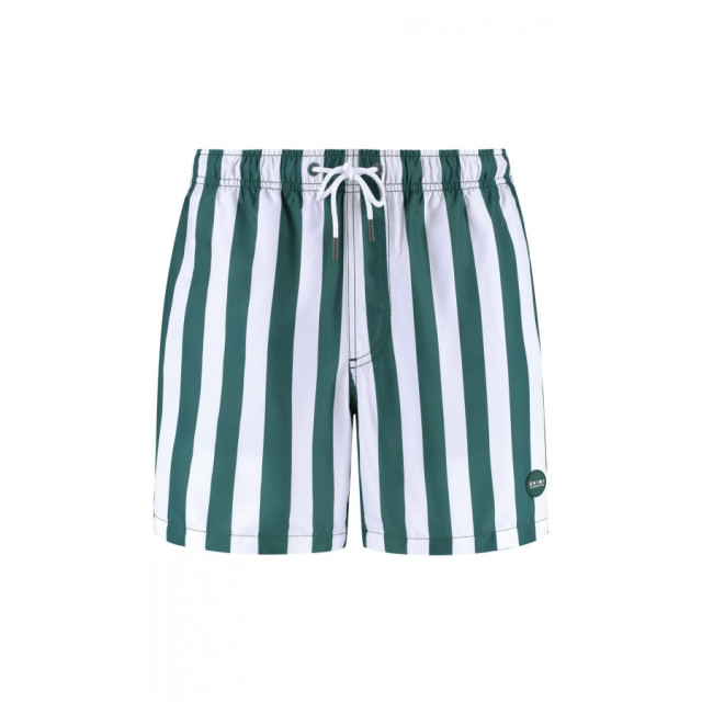 Shiwi 1441100200 broad stripe 7835 green leaf stripe swim short  7835 Green Leaf Stripe/1441100200 Broad Stripe large