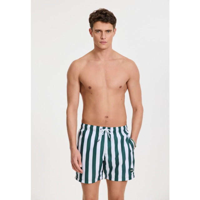 Shiwi 1441100200 broad stripe 7835 green leaf stripe swim short  7835 Green Leaf Stripe/1441100200 Broad Stripe large