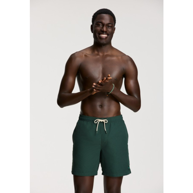 Shiwi 1525107100 mike short 7034 green leaf swim short 7034 Green Leaf/1525107100 Mike Short large