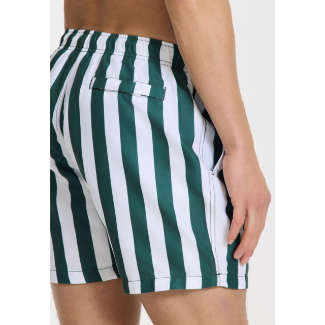 Shiwi 1441100200 broad stripe 7835 green leaf stripe swim short  7835 Green Leaf Stripe/1441100200 Broad Stripe large