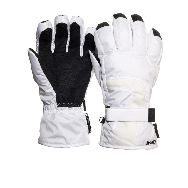 Sinner addala ski handschoenen heren -multicolour 070515_105-9 large