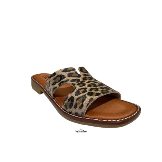 Hee Damesschoenen slippers 25300 large