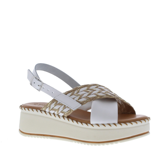 Cypres 2510013 | dames | maat: | combinatie 109963 large