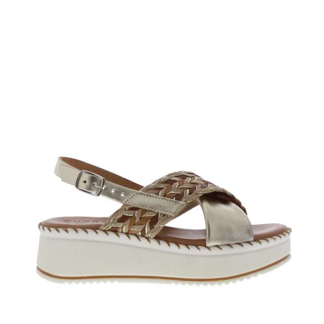 Cypres 2510013 | dames | maat: | combinatie 109963 large