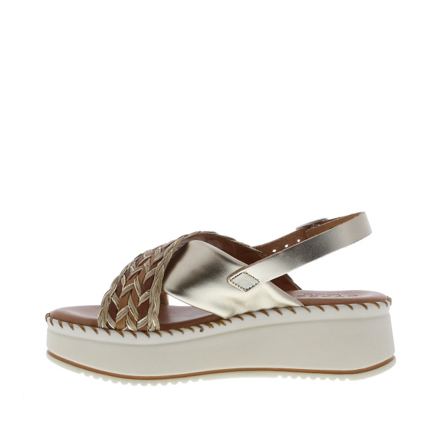 Cypres 2510013 | dames | maat: | combinatie 109963 large