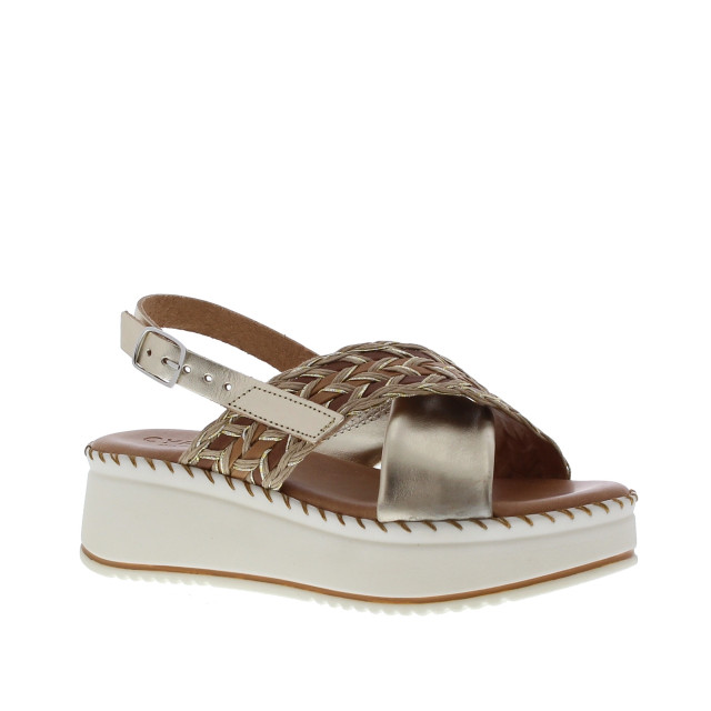 Cypres 2510013 | dames | maat: | combinatie 109963 large