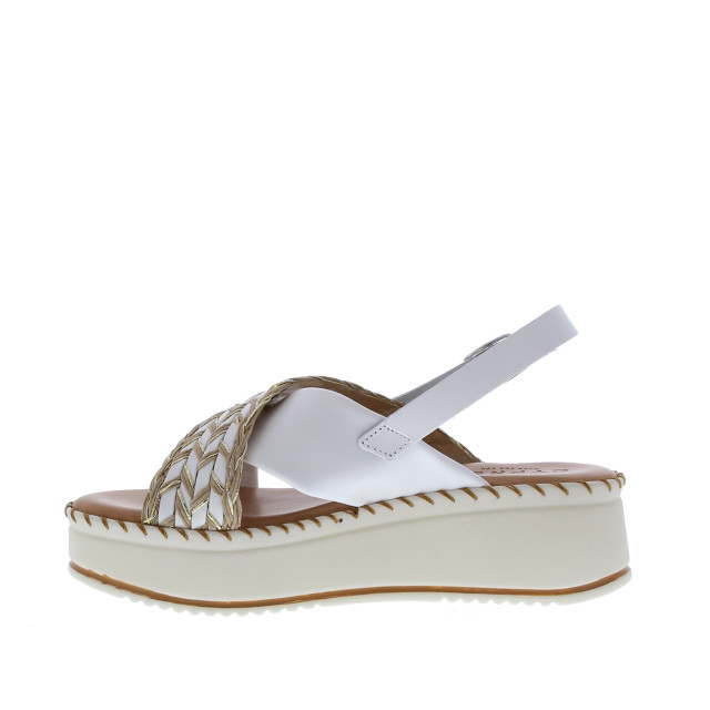 Cypres 2510013 | dames | maat: | combinatie 109963 large