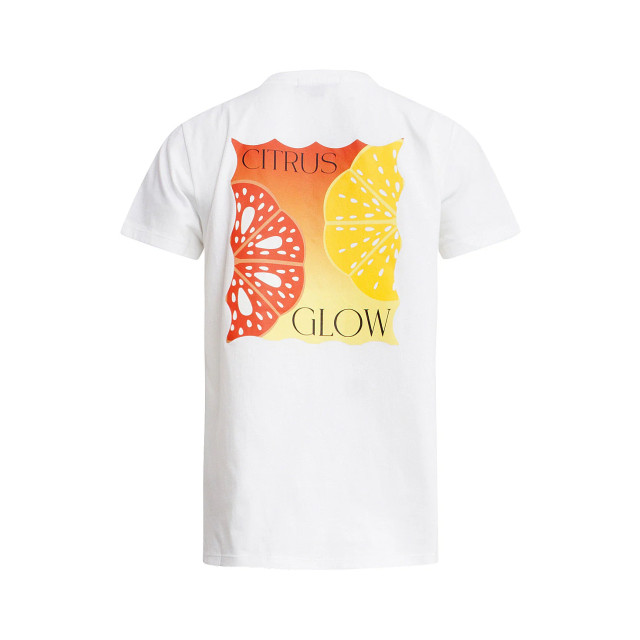 Smashed Lemon 25227 te katoenen t-shirt met citrus glow print | 8720331343110 large