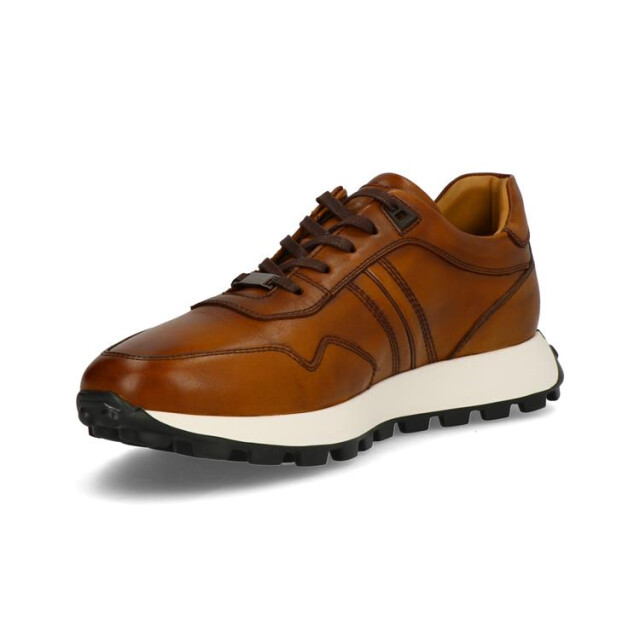 Berkelmans Valenciana Valenciana large