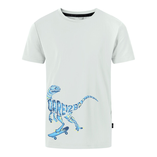 Dare2b Jongens amuse ii velociraptor t-shirt UTRG11897_aquagrey large Dare2b Jongens amuse ii velociraptor t-shirt UTRG11897_aquagrey large