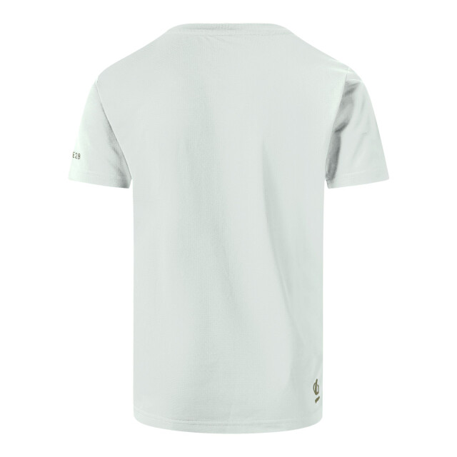 Dare2b Jongens amuse ii velociraptor t-shirt UTRG11897_aquagrey large Dare2b Jongens amuse ii velociraptor t-shirt UTRG11897_aquagrey large