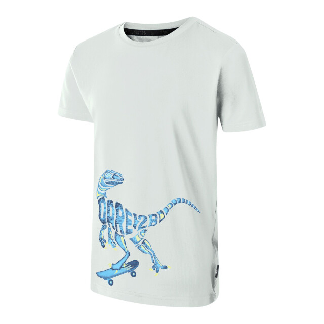 Dare2b Jongens amuse ii velociraptor t-shirt UTRG11897_aquagrey large Dare2b Jongens amuse ii velociraptor t-shirt UTRG11897_aquagrey large