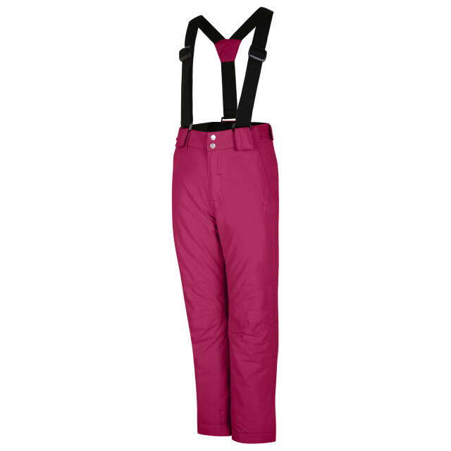 Dare2b Kinderen/kinderen motiefski-broek UTRG4782_berrypink large