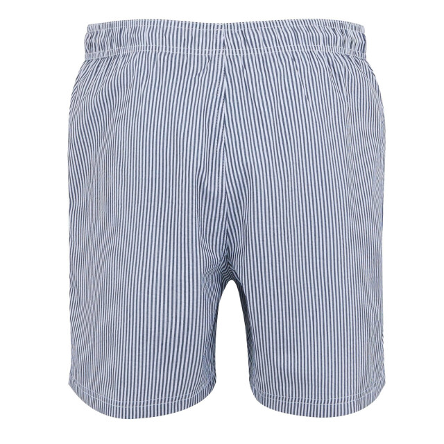 Regatta Heren loras stripe seersucker zwemshort UTRG11770_navy large