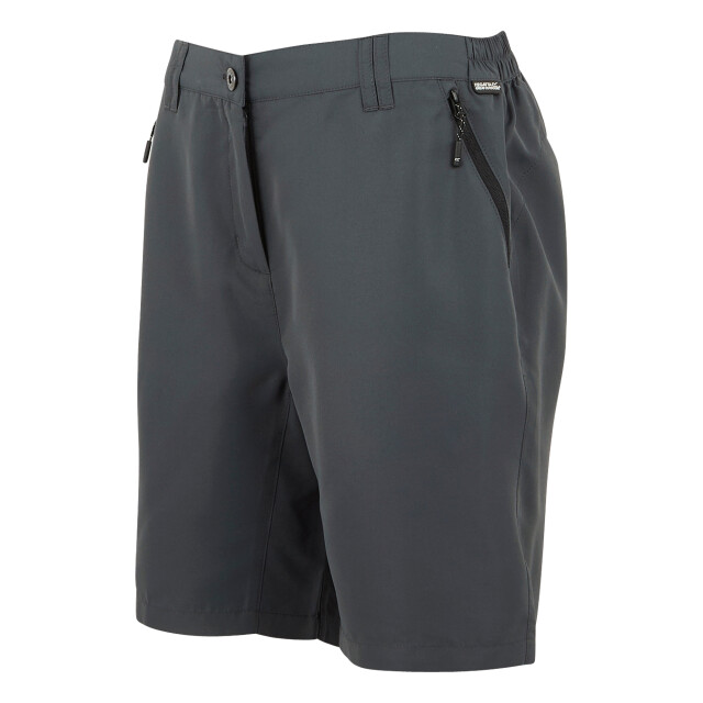 Regatta Dames chaska iii wandelbroek UTRG11343_sealgrey large