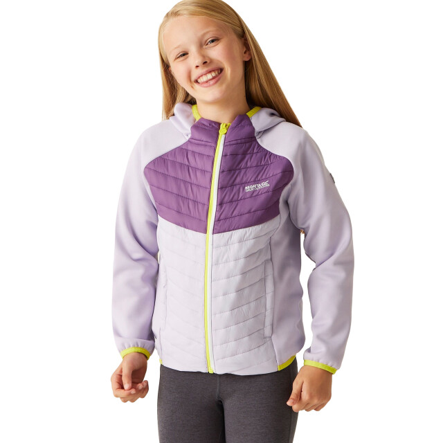 Regatta Kinders/kids kielder viii hybride jas UTRG9921_lilacfrostsunsetpurple large Regatta Kinders/kids kielder viii hybride jas UTRG9921_lilacfrostsunsetpurple large
