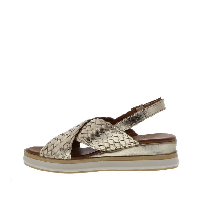 Cypres Wies kruisband vlecht | dames | maat: | leer 109995 large