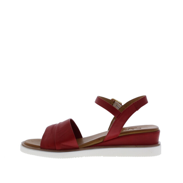 Cypres Tianca enkelband slee | dames | maat: | leer 109011 large