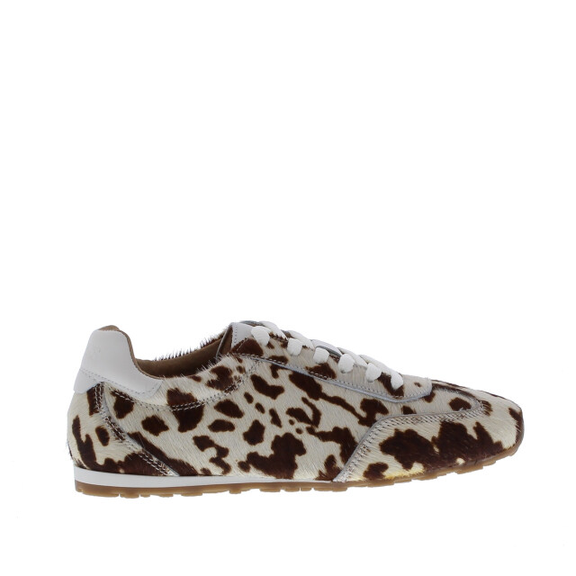 DWRS Label Sava dames sneaker | dames | maat: | pony 110203 large