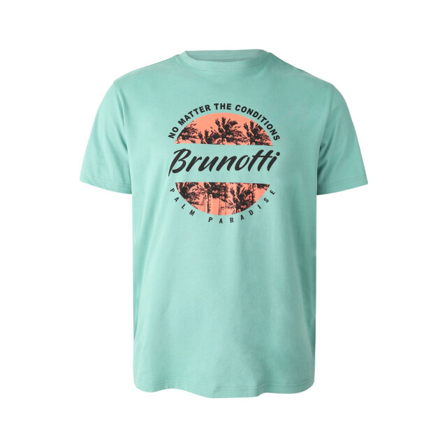 Brunotti leeway men t-shirt sport t-shirt korte mouw heren - 068606_300-XXXL large