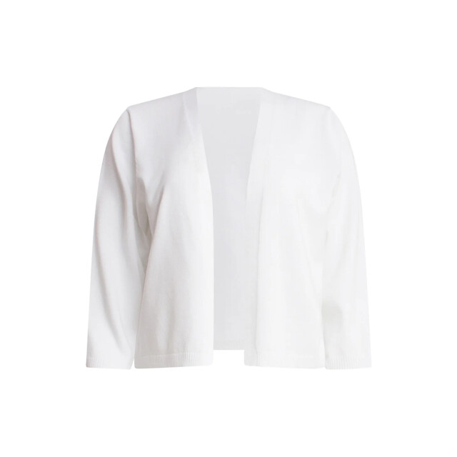 Smashed Lemon 25377, tops | 25377-000-3XL large