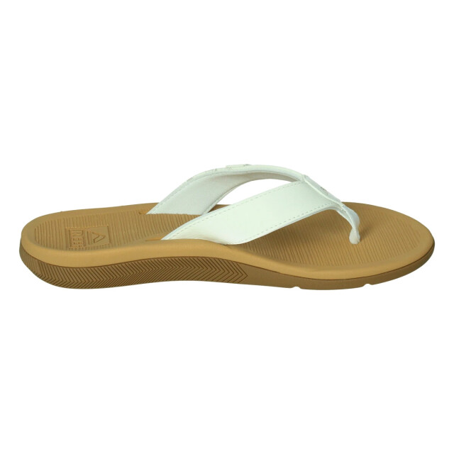 Reef Santa ana 135831 large