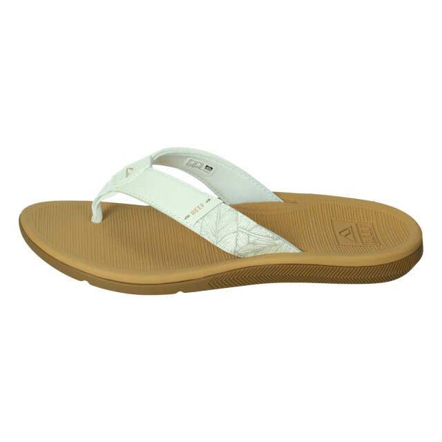 Reef Santa ana 135831 large