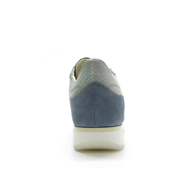 DL Sport 6217 6217 large DL Sport 6217 6217 large