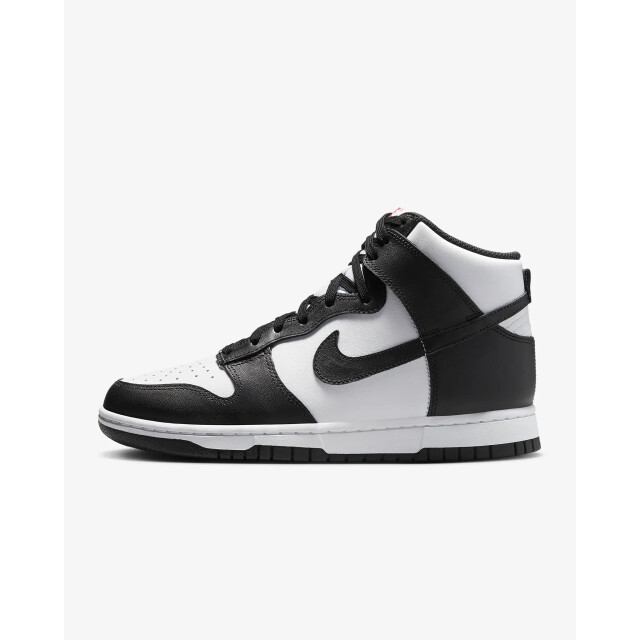 Nike Dunk high DD1869-103 large