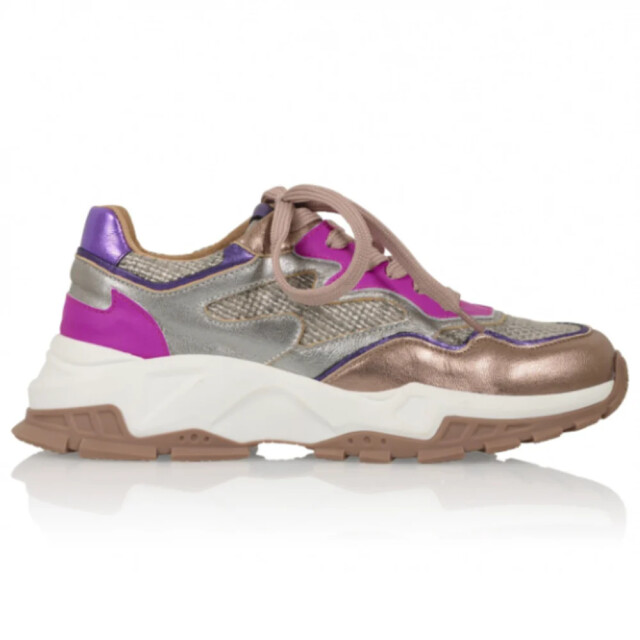 DWRS Label Chester B10649-15 large