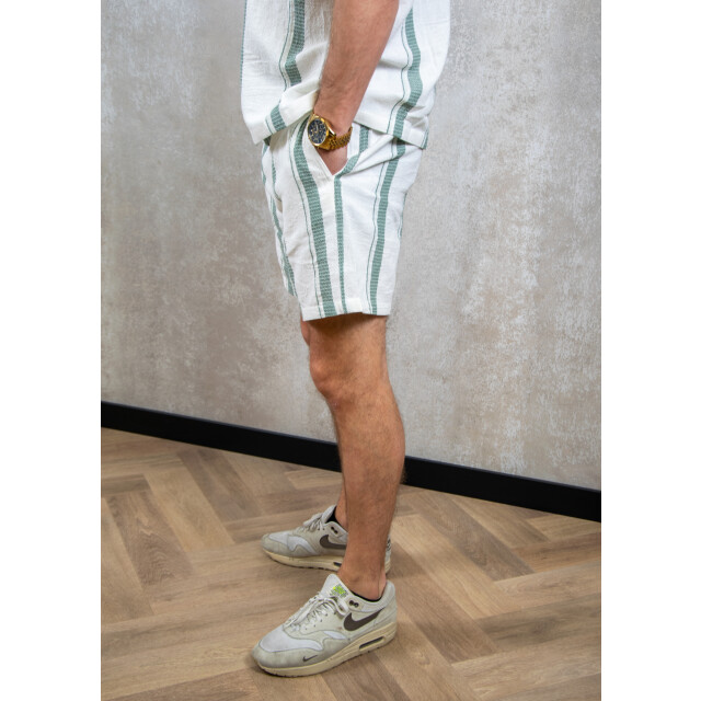 Pure Path Regular fit casual shorts 155.01.0008 large