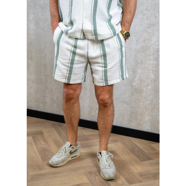 Pure Path Regular fit casual shorts 155.01.0008 large
