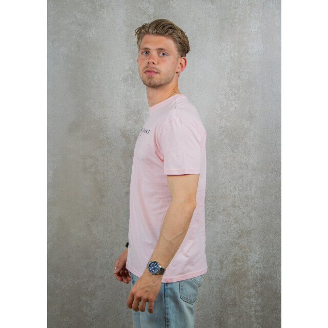 Tommy Hilfiger Reg linear logo tee 100.90.0136 large