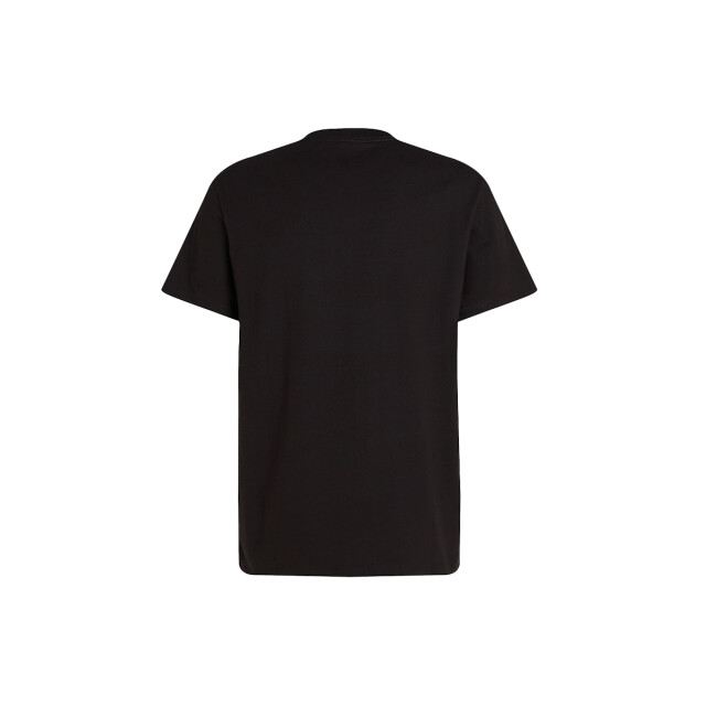Calvin Klein Heavy regular tee 100.10.1235 large