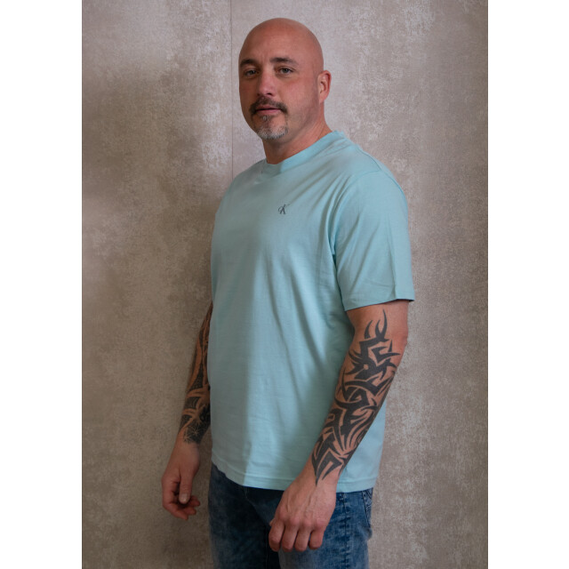 Calvin Klein Painted tee 100.30.1172 large