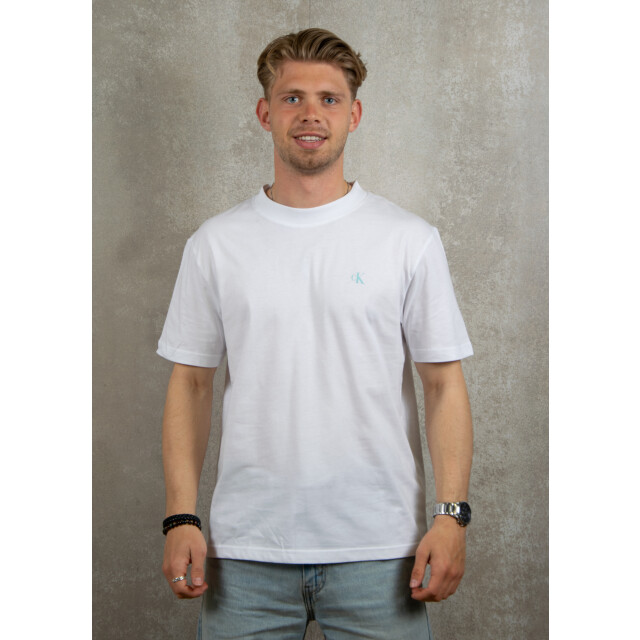 Calvin Klein Painted tee 100.00.1034 large